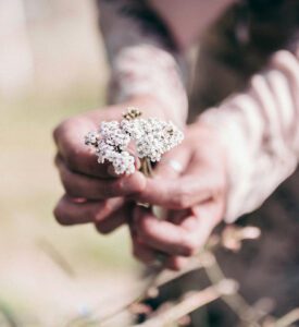 appointment pack special